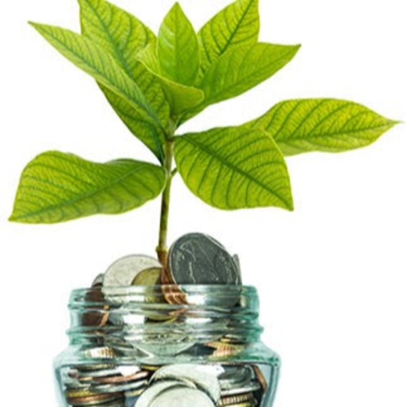 Meet your Posher, Jinny - Picture 1 of 1